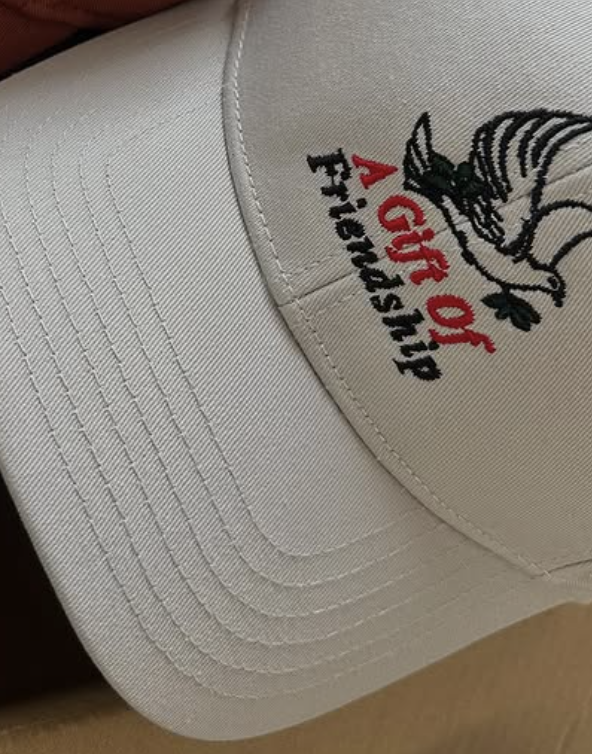 Friendship Cap